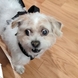 Meet your Posher, Kristen